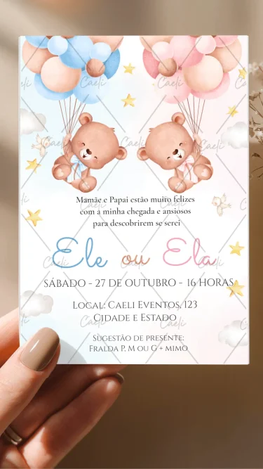 Chá revelação Azul e Rosa Ursinhos 1